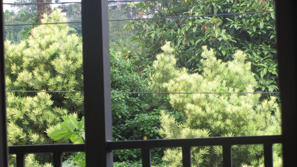 Suliko Guest House バトゥーミ エクステリア 写真