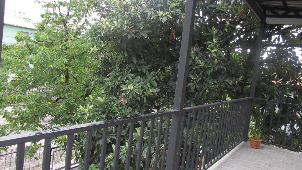 Suliko Guest House バトゥーミ エクステリア 写真