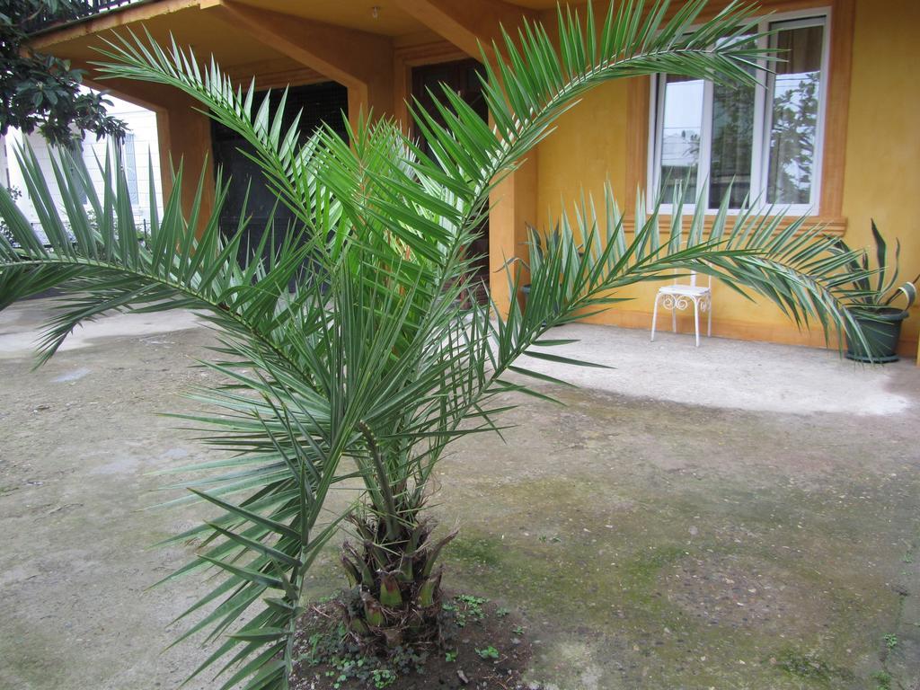 Suliko Guest House バトゥーミ エクステリア 写真